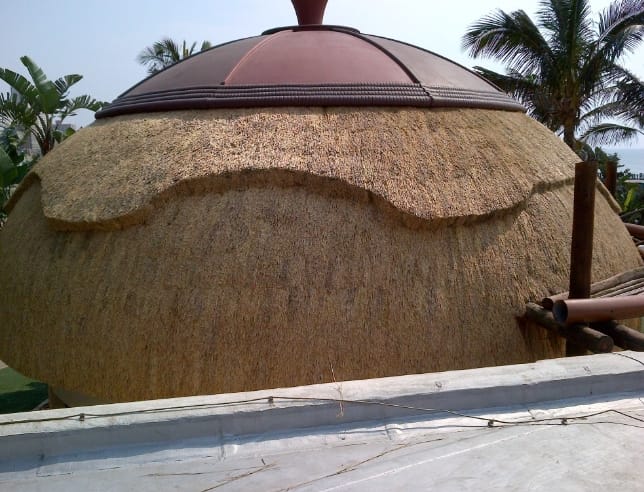 A close-up of the thatched dome roofline against palm trees.