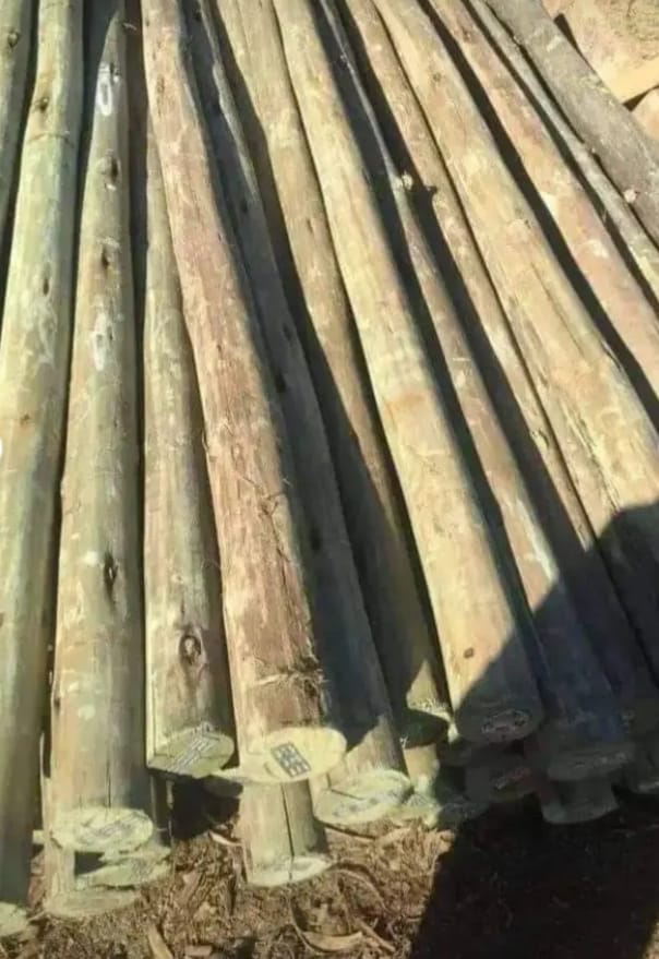 CCA Wooden Treated Poles
